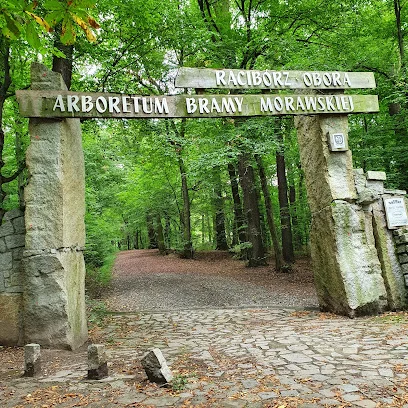 Arboretum Bramy Morawskiej